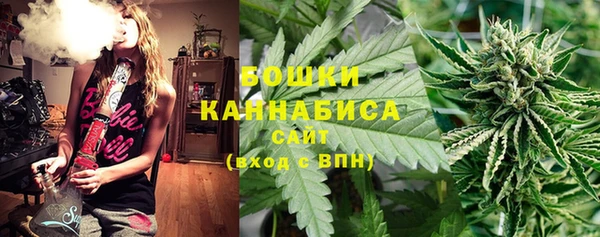 СК Михайлов